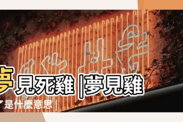 【周公解夢夢見雞死】夢見死雞 |夢見雞死了是什麼意思 |夢見雞死了 |