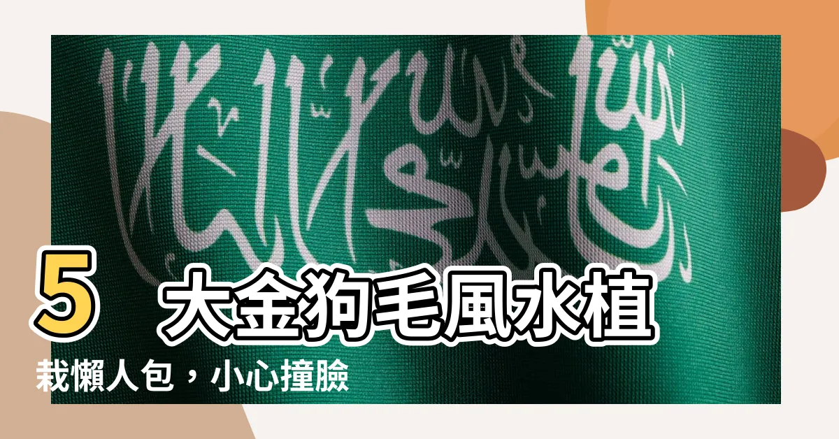 【金狗毛風水】5 大金狗毛風水植栽懶人包，小心撞臉檳榔渣！