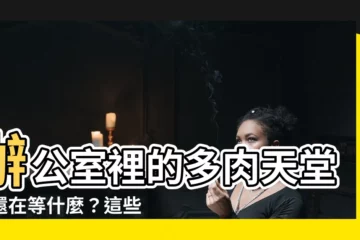 【辦公室 多肉植物】辦公室裡的多肉天堂！還在等什麼？這些可愛的綠寶石等你帶回家