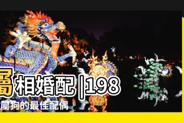 【82年和什麼生肖匹配】屬相婚配 |1982年屬狗的最佳配偶 |1982年屬狗的婚姻配對 |
