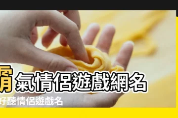 【霸氣搞笑遊戲情侶名字排行榜】霸氣情侶遊戲網名 |最好聽情侶遊戲名字大全 |以前沒人用過 |