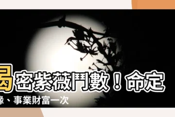 【紫薇】揭密紫薇鬥數！命定姻緣、事業財富一次看透！