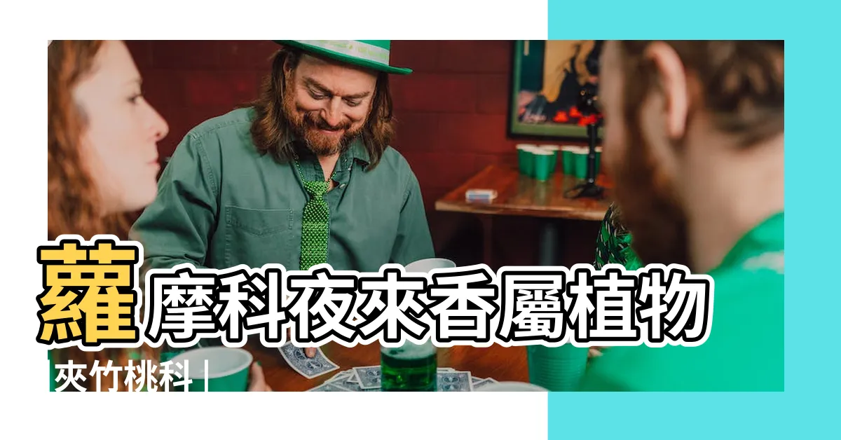 【夜來香花】蘿摩科夜來香屬植物 |夾竹桃科 |