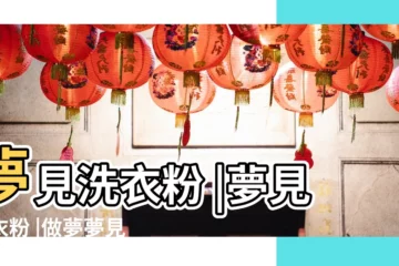 【周公解夢大全夢見自己滿洗衣粉】夢見洗衣粉 |夢見洗衣粉 |做夢夢見洗衣粉好不好 |