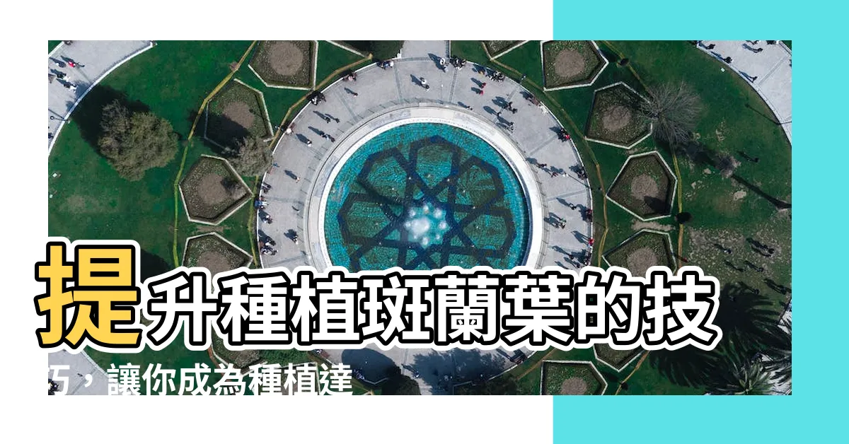 【斑蘭葉種植】提升種植斑蘭葉的技巧，讓你成為種植達人！