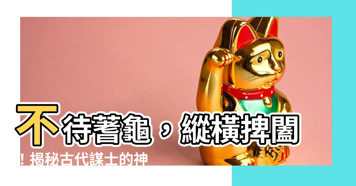 【不待蓍龜】不待蓍龜，縱橫捭闔！揭秘古代謀士的神奇預測術