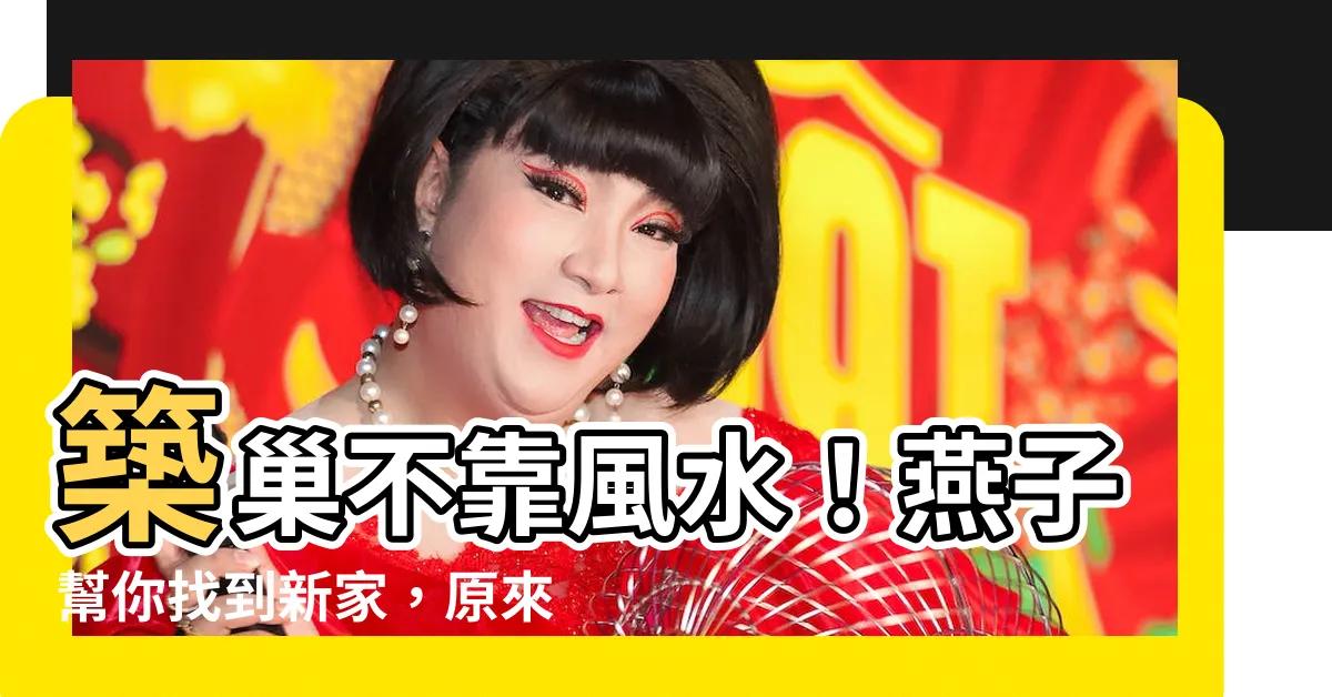 【幫燕子 築 巢】築巢不靠風水！燕子幫你找到新家，原來背後暗藏這玄機
