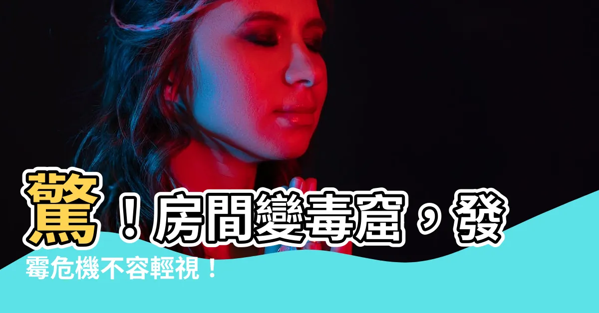 【發黴 原因】驚！房間變毒窟，發黴危機不容輕視！