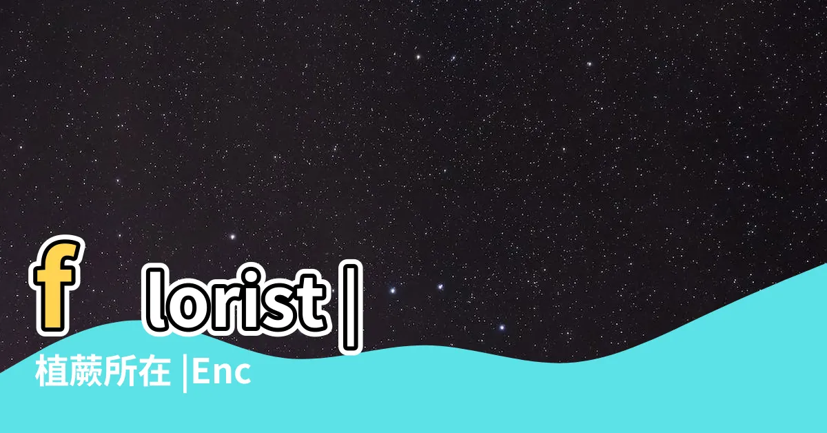 【串錢藤風水】florist |植蕨所在 |Encore |