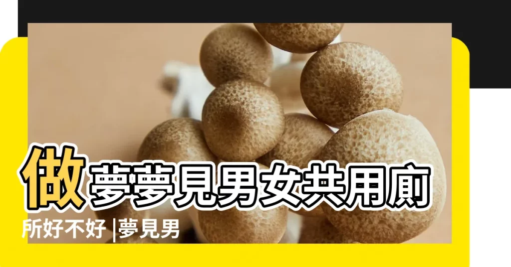 做夢夢見男女共用廁所好不好 |夢見男女一起上廁所 |周公解夢夢見如廁是什麼意思 |【夢見男女如廁】