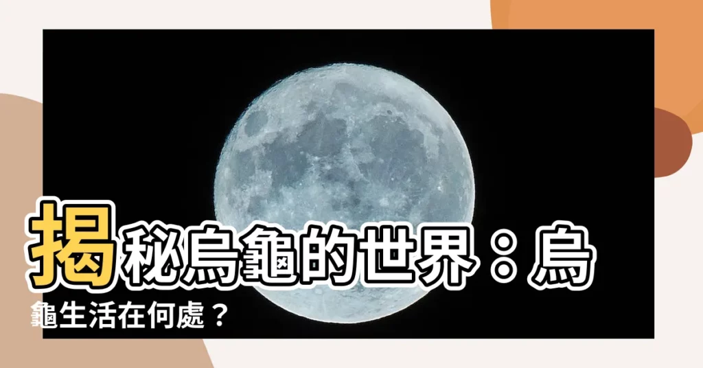 【烏龜在哪裡】揭秘烏龜的世界：烏龜生活在何處？