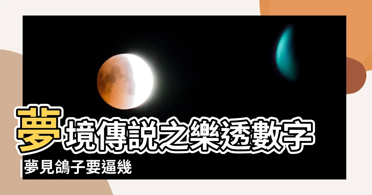 【夢到鴿子號碼】夢境傳説之樂透數字 |夢見鴿子要逼幾號 |夢境號碼解析結果 |