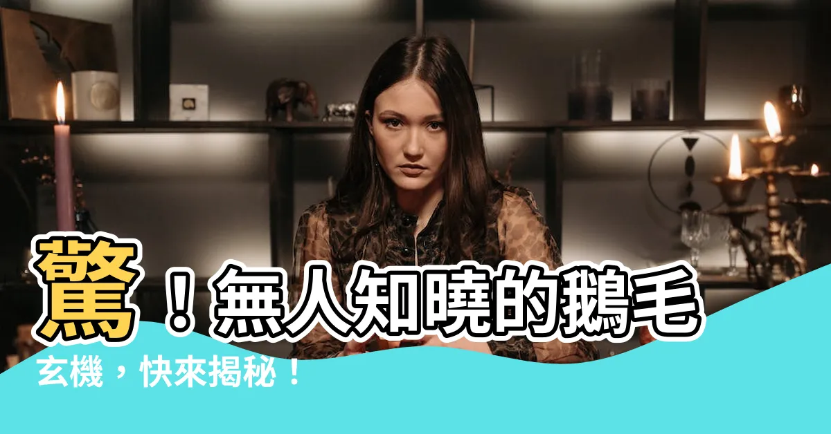 【鵝毛】驚！無人知曉的鵝毛玄機，快來揭秘！