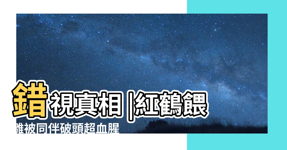 【紅鶴流血】錯視真相 |紅鶴餵雛被同伴破頭超血腥 |紅鶴餵食啃破頭頂血腥真相淚崩 |