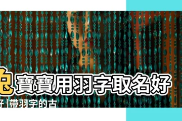 【羽字跟杭字五行搭配嗎】兔寶寶用羽字取名好不好 |帶羽字的古風唯美名字 |帶羽字的名字推薦 |