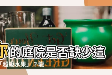 【龍眼樹】你的庭院是否缺少這顆「超級水果」？龍眼樹種植秘訣大公開！