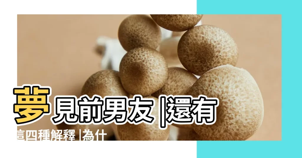 夢見前男友 |還有這四種解釋 |為什麼我總是夢到你 |【夢見前男友私處有血】