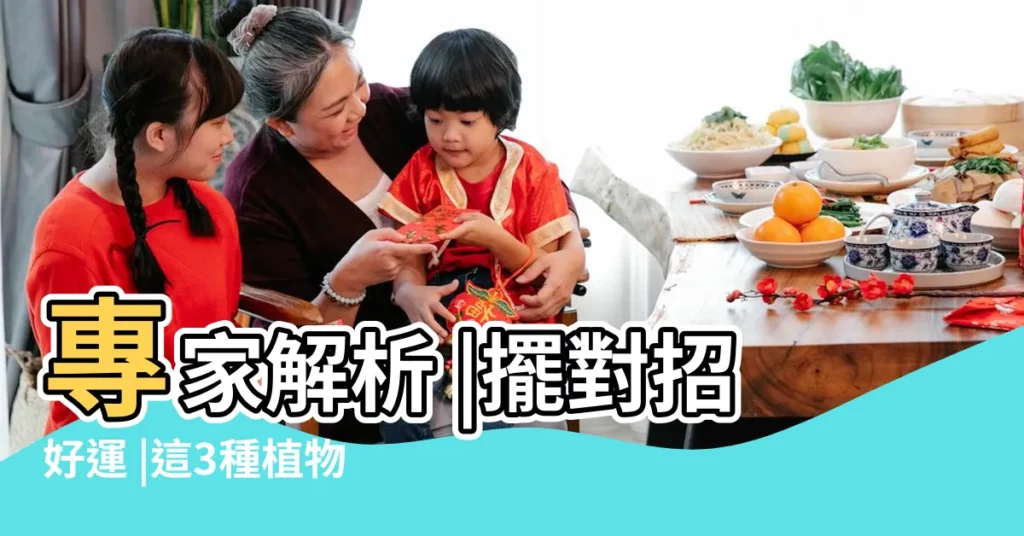 專家解析 |擺對招好運 |這3種植物擺客廳 |【客廳擺哪些植物】
