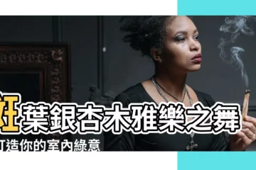 【斑葉銀杏木】斑葉銀杏木雅樂之舞，打造你的室內綠意天堂！