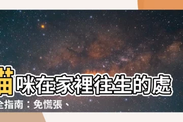 【貓死在家裡怎麼辦】貓咪在家裡往生的處理全指南：免慌張、超詳盡懶人包