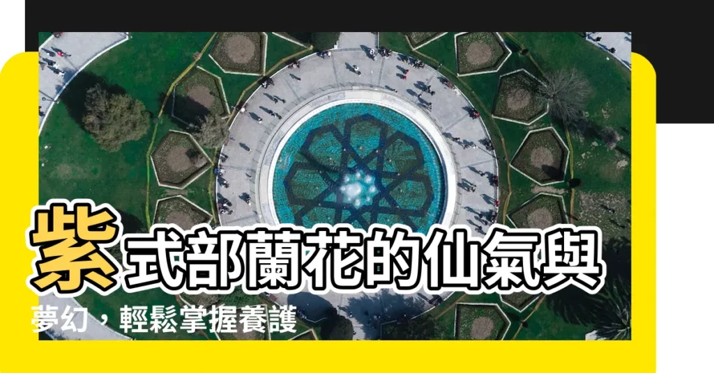【紫式部蘭花照顧】紫式部蘭花的仙氣與夢幻，輕鬆掌握養護秘訣，打造優雅居室