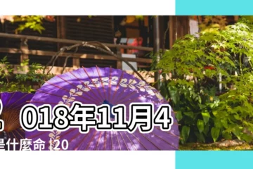 【2018年11月4日五行】2018年11月4日是什麼命 |2018年11月4日出生的人是什麼命 |2018年11月4日出生的人五行缺什麼 |