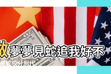 【做夢夢到自己被蛇追周公解夢】做夢夢見蛇追我好不好 |被蛇咬分別代表什麼 |夢見被蛇追 |