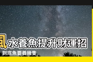 【魚要養幾隻才會招財】風水養魚提升財運招福！到底魚要養幾隻才會招財？