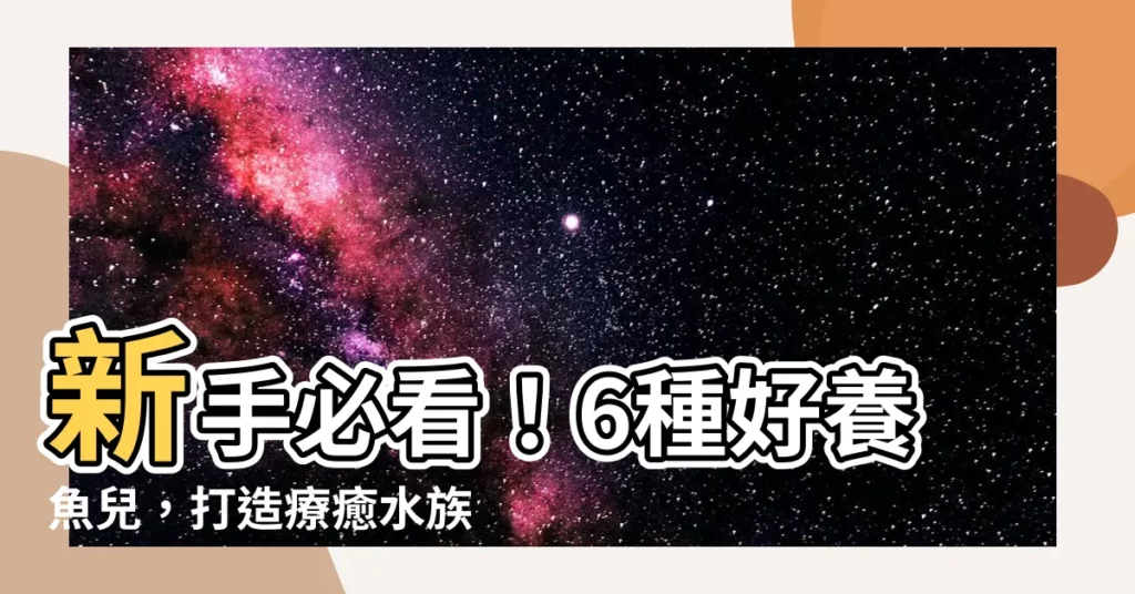 【好養的魚】新手必看！6種好養魚兒，打造療癒水族箱