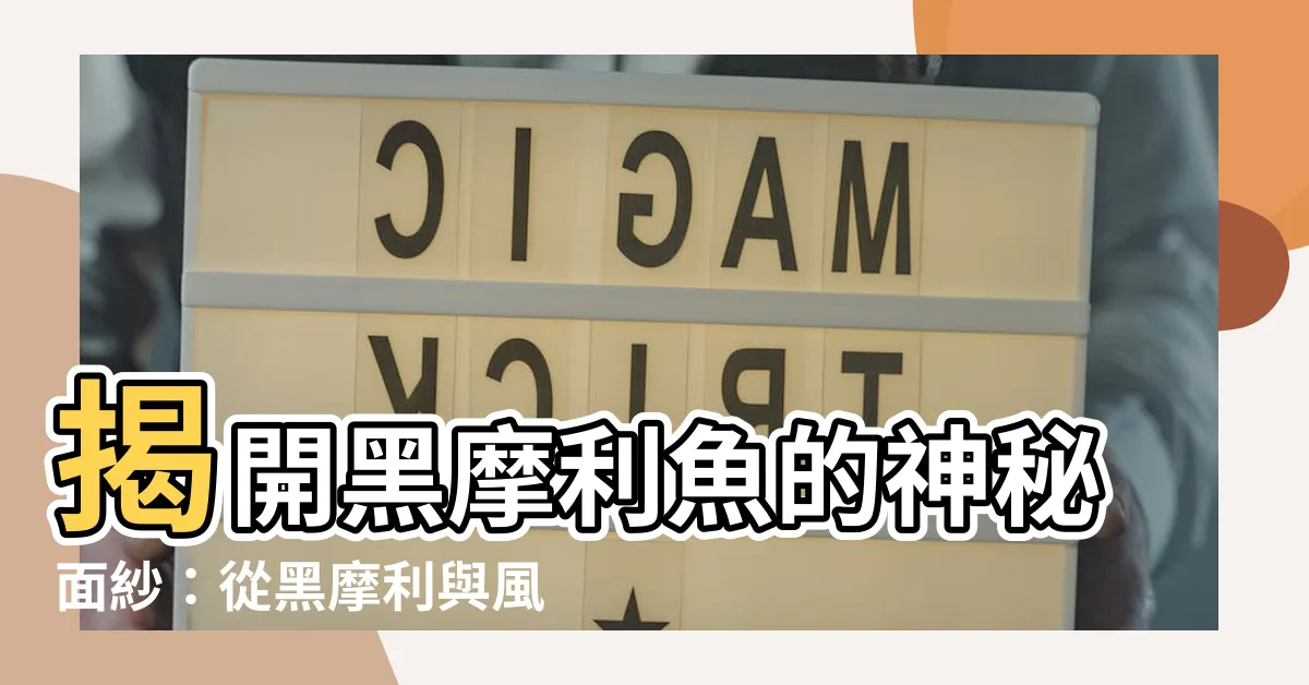 【黑摩利魚】揭開黑摩利魚的神秘面紗：從黑摩利與風水到胎生鱂魚科的探索