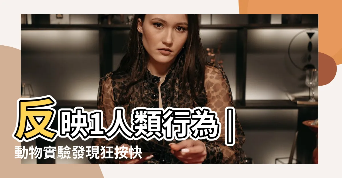 【動物方程式老鼠】反映1人類行為 |動物實驗發現狂按快門數百次 |動物實驗發現牠們狂按快門數百次 |