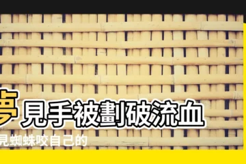 【夢見被蟲子劃破手】夢見手被劃破流血 |夢見蜘蛛咬自己的周公解夢夢見蜘蛛咬自己好不好 |命理師解析 |