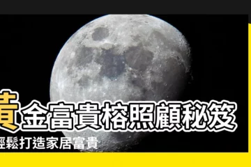 【黃金富貴榕照顧】黃金富貴榕照顧秘笈：輕鬆打造家居富貴氛圍