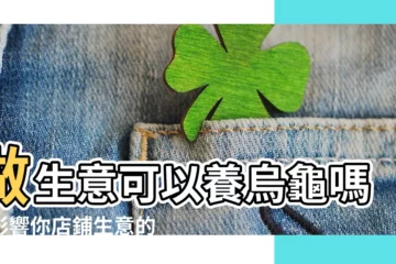 【做生意可以養烏龜嗎】做生意可以養烏龜嗎？影響你店鋪生意的風水禁忌大公開！