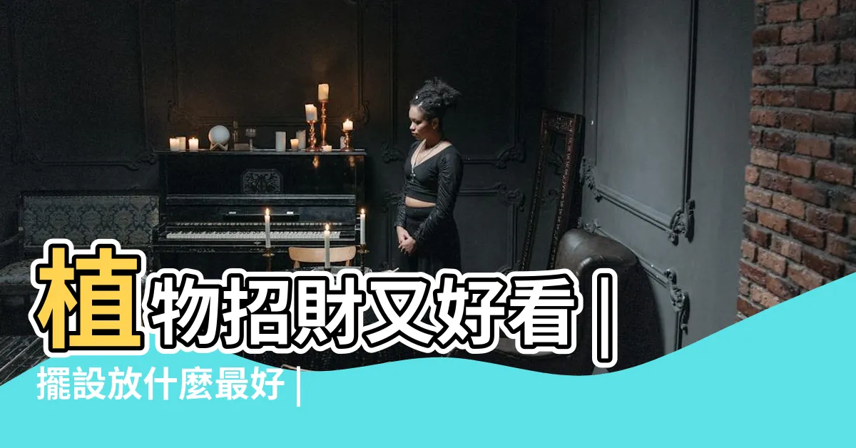 【財位方向】植物招財又好看 |擺設放什麼最好 |2024最新 |