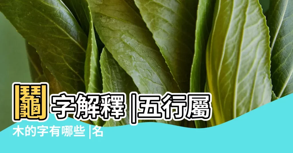鬮字解釋 |五行屬木的字有哪些 |名字字典 |【鬮字屬什麼生肖】