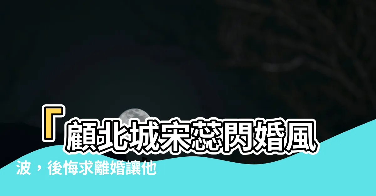 【顧北城宋蕊】「顧北城宋蕊閃婚風波，後悔求離婚讓他驚呆！債務由誰承擔？」