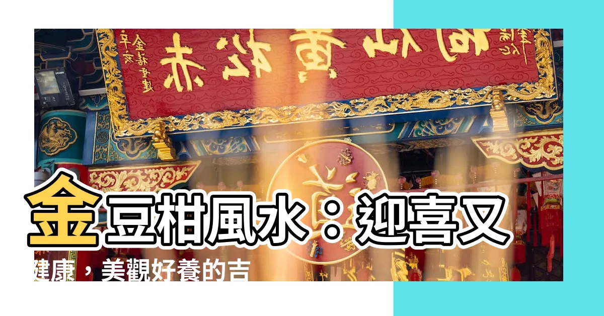 【金豆柑風水】金豆柑風水：迎喜又健康，美觀好養的吉祥物