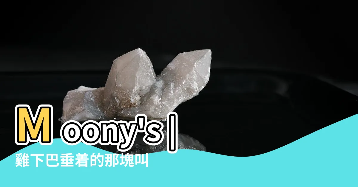 【雞垂意思】Moony's |雞下巴垂着的那塊叫什麼 |雞體表各部位名稱及知識講解 |