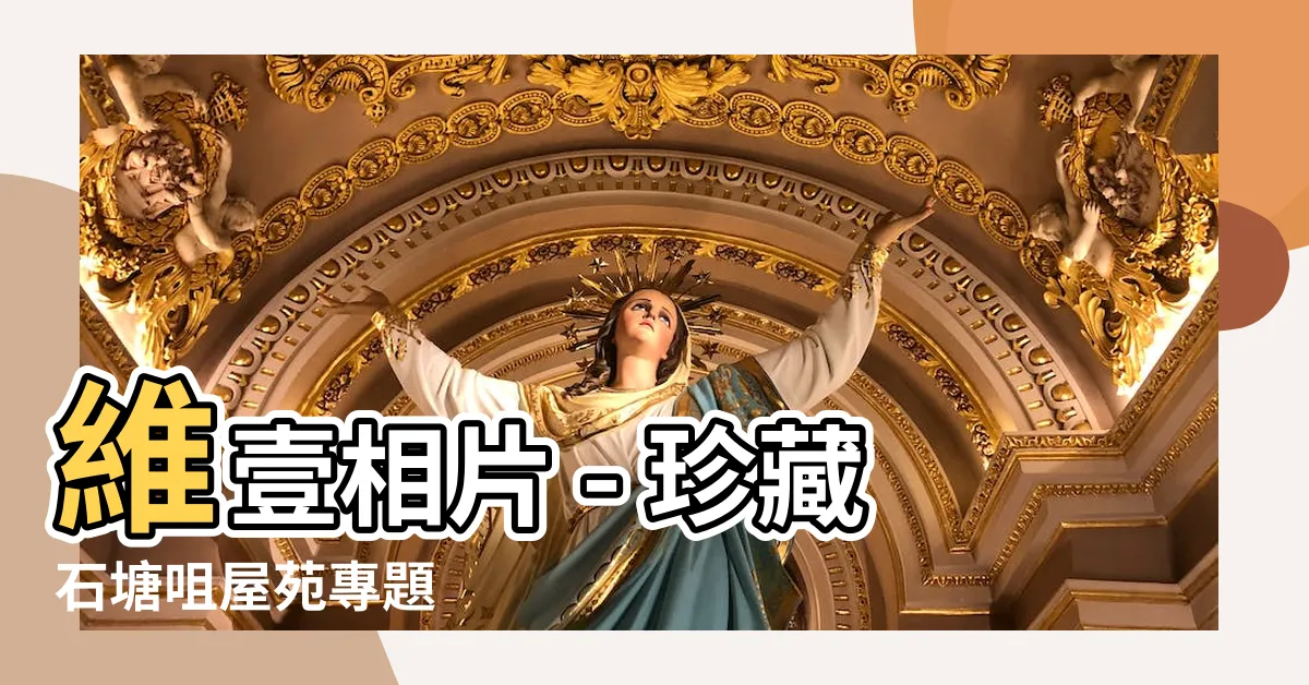 【維壹 相片】維壹相片 - 珍藏石塘咀屋苑專題