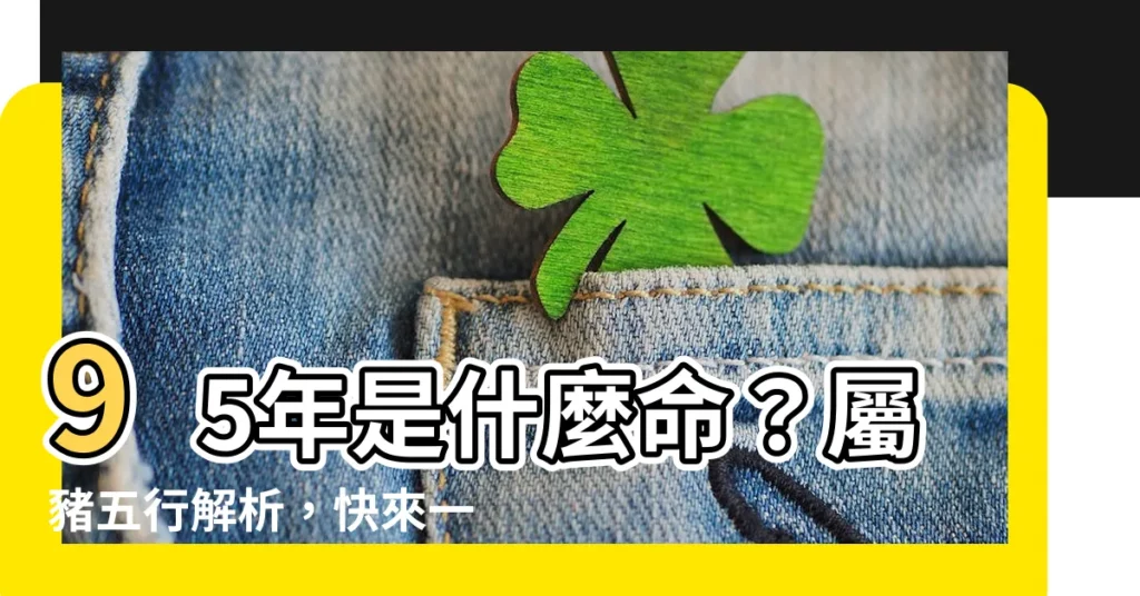 【95年是什麼命】95年是什麼命？屬豬五行解析，快來一探究竟！