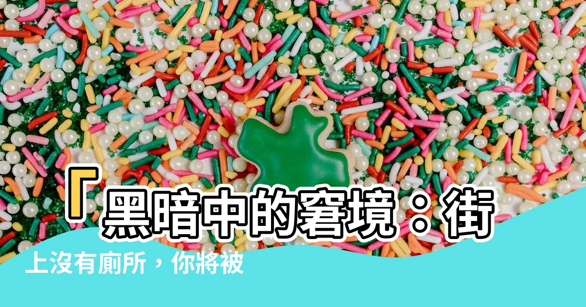 【沒有廁所】「黑暗中的窘境：街上沒有廁所，你將被迫如廁在眾人注視下！」