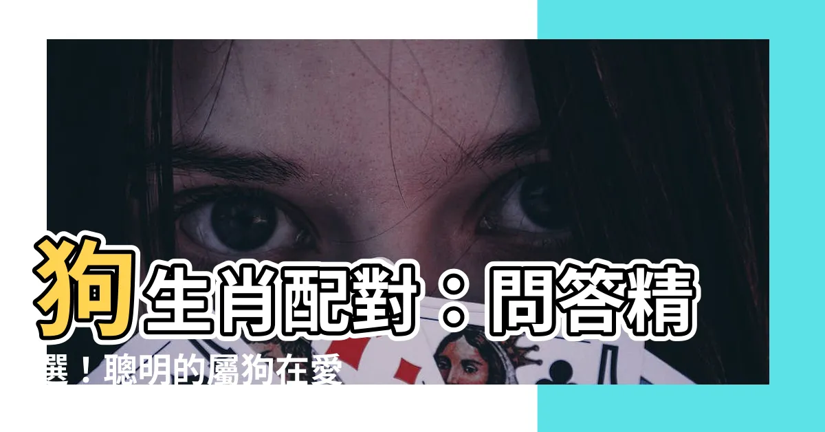 【狗生肖配對】狗生肖配對：問答精選！聰明的屬狗在愛情中最適合搭配的是誰？