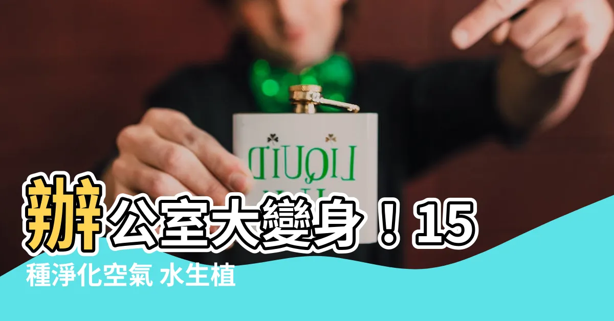 【辦公室 水生植物】辦公室大變身！15種淨化空氣 水生植物打造綠意辦公桌