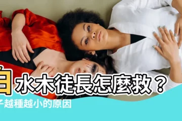 【白水木徒長】白水木徒長怎麼救？葉子越種越小的原因大公開！