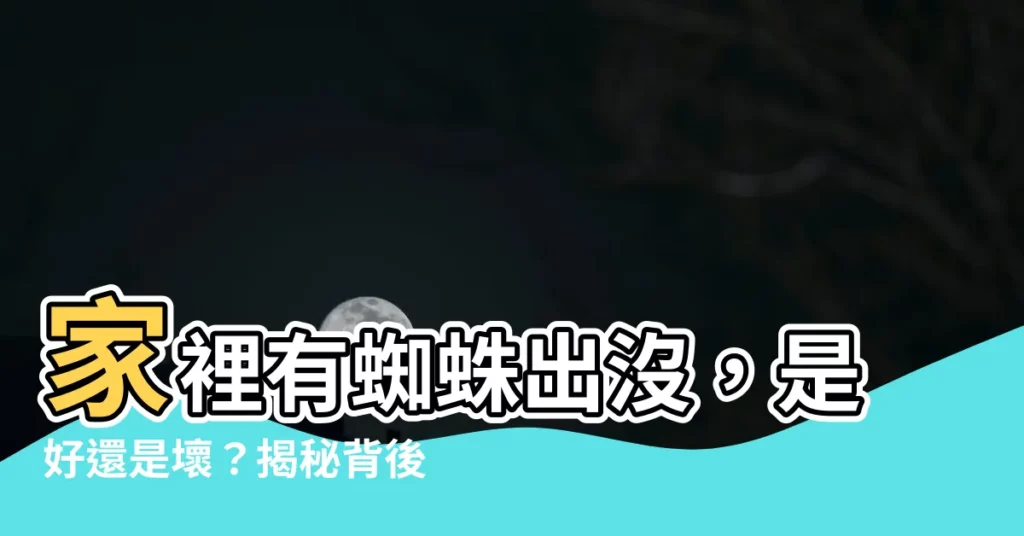 【家裡有蜘蛛】家裡有蜘蛛出沒，是好還是壞？揭秘背後預兆與禁忌