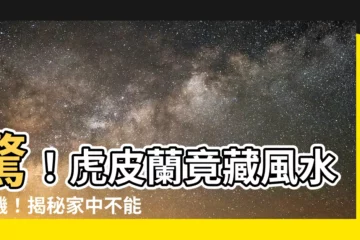 【虎皮蘭】驚！虎皮蘭竟藏風水危機！揭秘家中不能擺放虎皮蘭的禁區