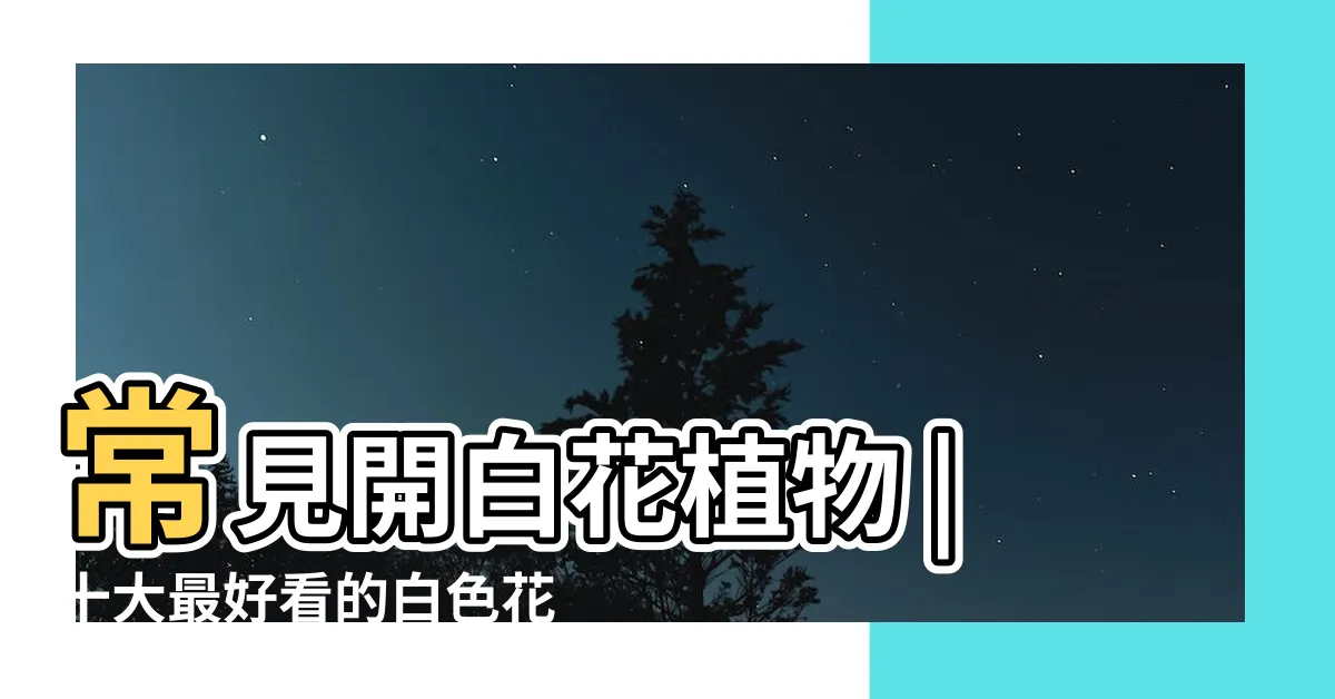 【白花有哪些】常見開白花植物 |十大最好看的白色花 |白色的花有哪些有哪些白色的花 |