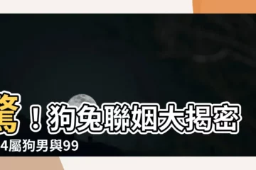 【狗兔結婚】驚！狗兔聯姻大揭密：94屬狗男與99屬兔女婚配謎團終解密