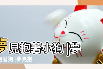 【解夢抱着小狗】夢見抱著小狗 |夢見抱著狗 |夢見抱小狗 |